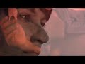 Trailer Prensa Obra Cine-Teatro: LA ULTIMA (ES)CENA de Gazir Sued. Trailer Prensa Obra Cine-Teatro: LA ULTIMA (ES)CENA de Gazir Sued.