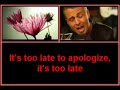 Timbaland ft. One Republic - Apologize lyrics