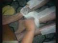 Hot Wax part II