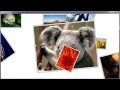 Multitouch examples in WPF using a Win7 version of the Surface Scatterview control