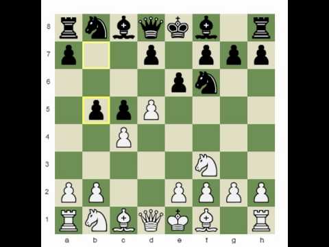 chess computer