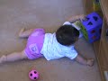 Crawler walk-about Crawler walk-about