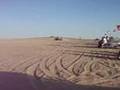 R1 Rhino Sand Drags