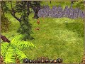 Settlers / Siedler II 3D - Mappreview: Lost Greenforrest