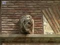 Rom - zum antiken Stadtteil Velabrum