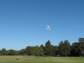 airfoilz-extra-260.html