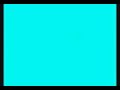 Leano Morelli-Nata libera Leano Morelli-Nata libera