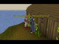 How Runescape Began