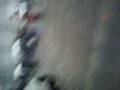scumoween 12 11.21am