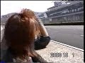 オートポリスをR３２スカイラインで走る