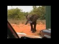 Operation Noah's Ark - Angola.divx