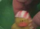 Rubber Duck Adventures - Episode 1 - Outtakes