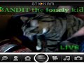 Bandit rapes cat xD Bandit rapes cat xD