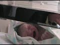antonio sticchi junior