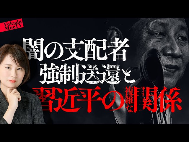 深田萌絵『詐欺グループトップ逮捕は中国権力闘争の一環』
