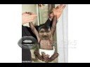 boulette 2