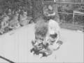 Audrey DeLuxe vs. Victoria Vengeance