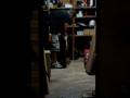 MOV01663.MPG
