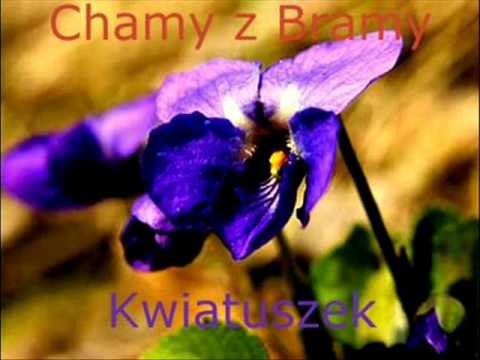 Demo zespołu Chamy z Bramy ;-))