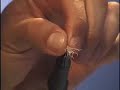 How To Tie a Bucktail Streamer