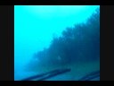 Driving in the Rain