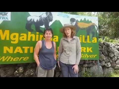 Travelers's trip testimonial