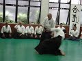 Sensei Wagner Bull Sensei Wagner Bull