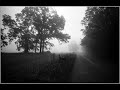 Cylorust - Triphop with an Asian touch...