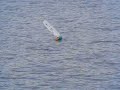 Footy rc sailboat Footy rc sailboat