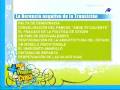AGT Intereconomia 1