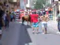 toros paiporta quiebros toros paiporta quiebros