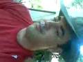 videos de piada.3gp