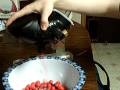 videos de Nick's homemade e-hopper