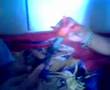 un dia con toa lerezak y rey bacalao 4