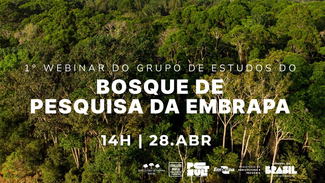 1º  Webinar do grupo de estudos do Bosque de Pesquisa da Embrapa em Belterra (PA)