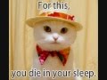 very funny cats part 3