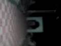 videos de Cementerio Dzilam Gonzalez, Documental De Maro, Edain y Clau