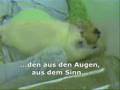 Tierversuche (Dritte Wahl - Schreie hinter Glas)