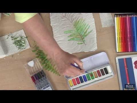 Botanical Illustration - Lesson Plan