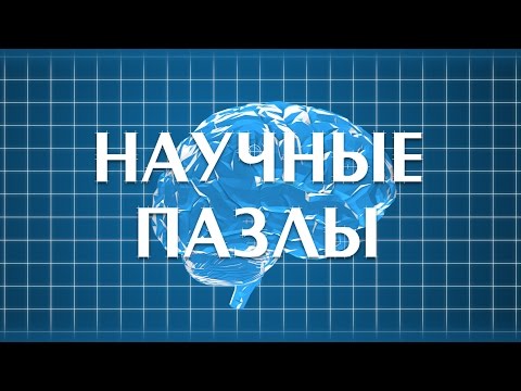 Научные Пазлы: Как научиться лазить по стенам