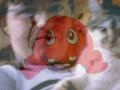 PUPUCE PUPUCE