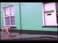 ireland roadtrip part 3   sneem to waterville