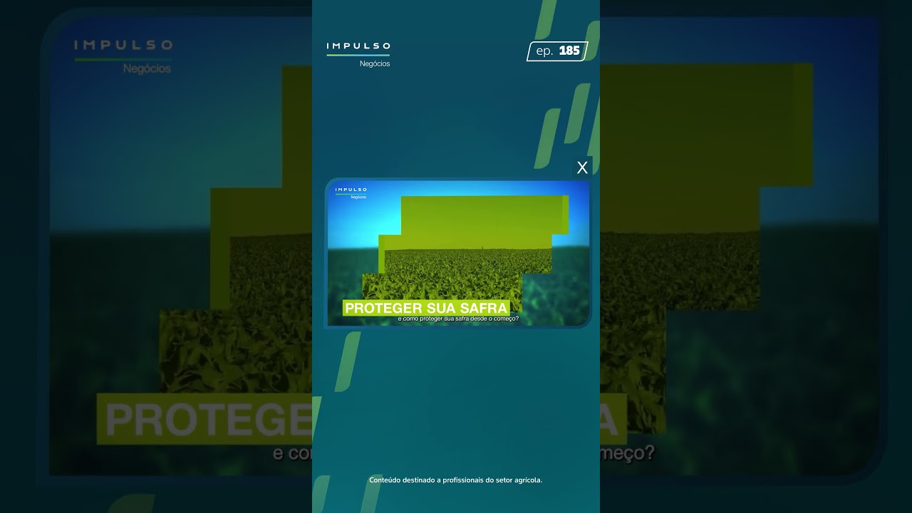 Manejo de daninhas no milho | Teaser Impulso Negócios EP. 185