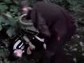 you've been wheel chaired hahaaaa