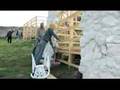 Production and Costume Design: Official Nativity Story