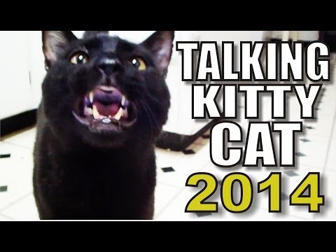 Talking Kitty Cat - 2014