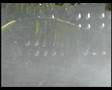 Afrontar la escasez del agua 2 (versión íntegra)