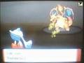videos de Pokemon Wi-Fi Battle Vs Rubi 24 Nov 2008