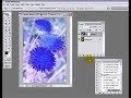 Invert Adjustment Layer-Make a Color Infra Red Effect Action