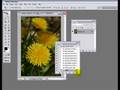 Invert Adjustment Layer-Make a Color Infra Red Effect Action